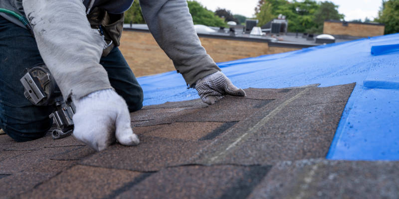 Do You Need a Roof Replacement or Repair?