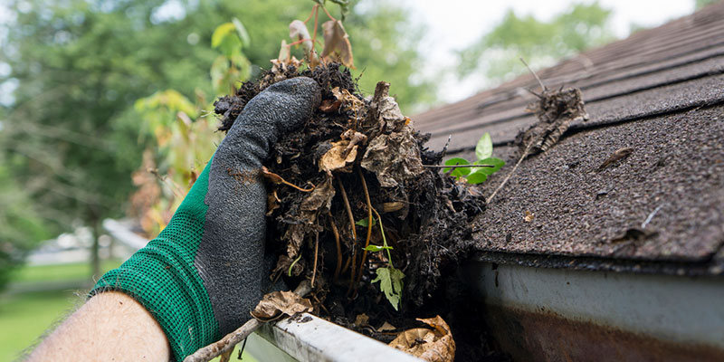How to Maintain Your Gutters