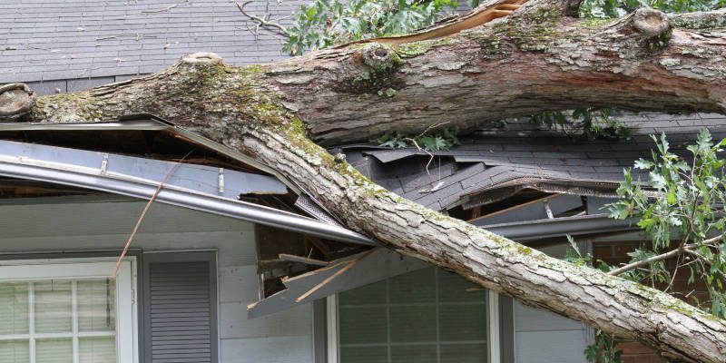 Storm Damage in Thomasville, North Carolina