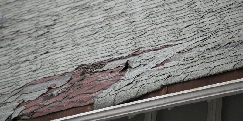 Rain Damage Repair in Thomasville, North Carolina