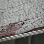 Rain Damage Repair