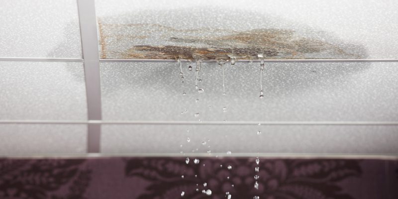 What to Do When Your Roof Leaks