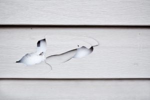 Is It Time for Siding Replacement? 6 Key Indicators to Watch For